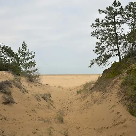 Villa Semi Detached With Private Fenced Garden In Lignano Pineta *