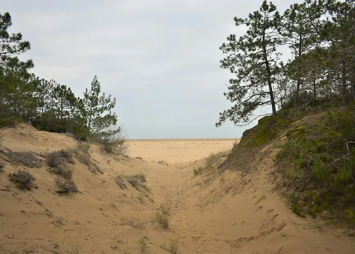 Villa Semi Detached With Private Fenced Garden In Lignano Pineta *